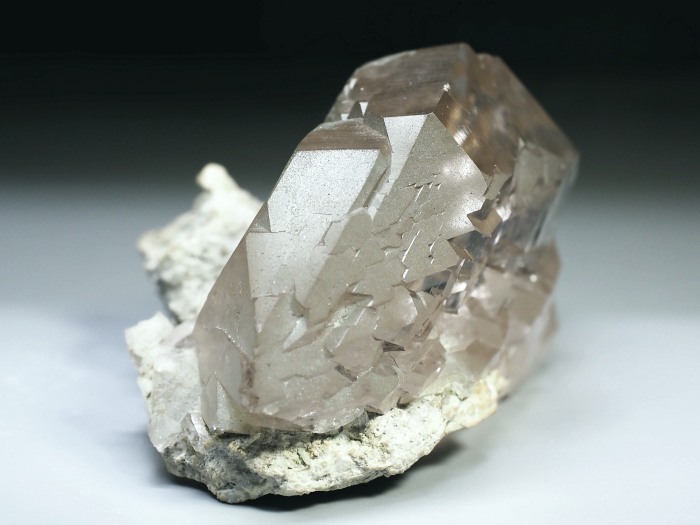 �O�C���f���N�H�[�c �X�C�X�E�A���v�X���� 170g (6-6)