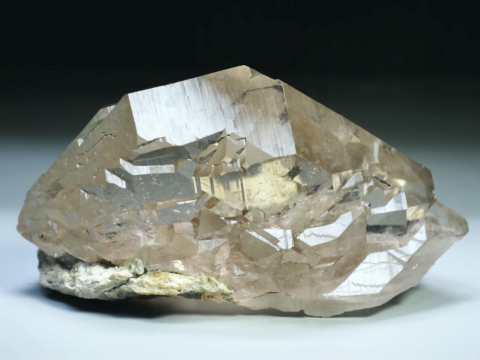 �O�C���f���N�H�[�c �X�C�X�E�A���v�X���� 170g (6-6)