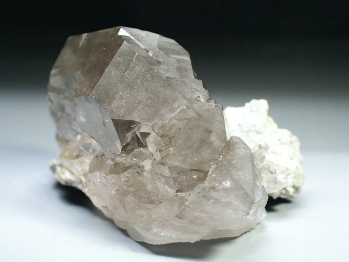 �O�C���f���N�H�[�c �X�C�X�E�A���v�X���� 170g (6-6)