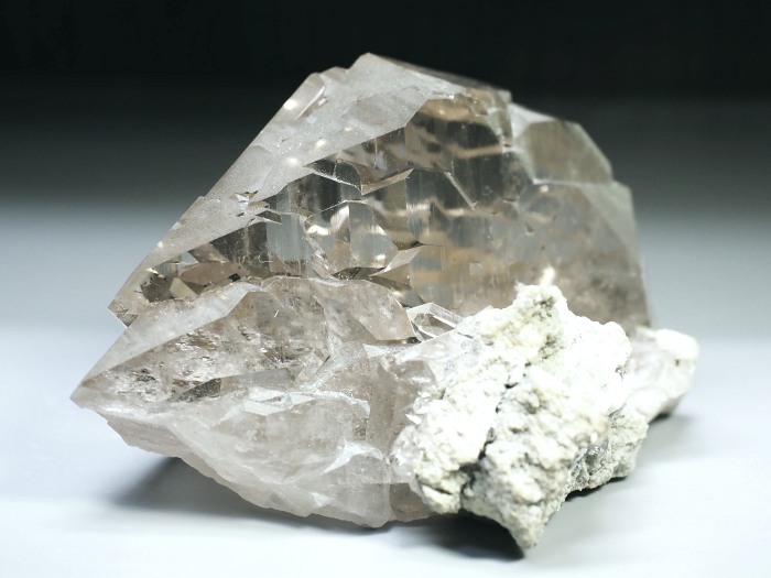 �O�C���f���N�H�[�c �X�C�X�E�A���v�X���� 170g (6-6)