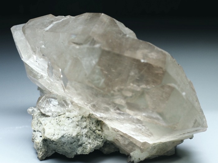 �O�C���f���N�H�[�c �X�C�X�E�A���v�X���� 170g (6-6)