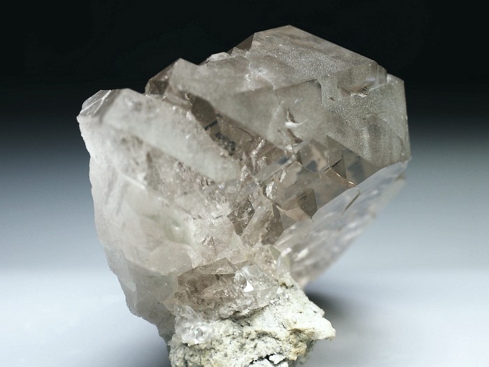 �O�C���f���N�H�[�c �X�C�X�E�A���v�X���� 170g (6-6)