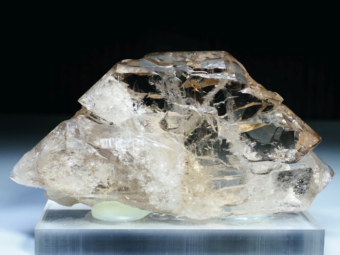 �O�C���f���N�H�[�c �X�C�X�E�A���v�X���� 319g (20-2)