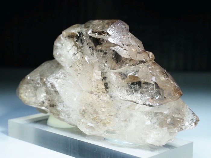 �O�C���f���N�H�[�c �X�C�X�E�A���v�X���� 319g (20-2)