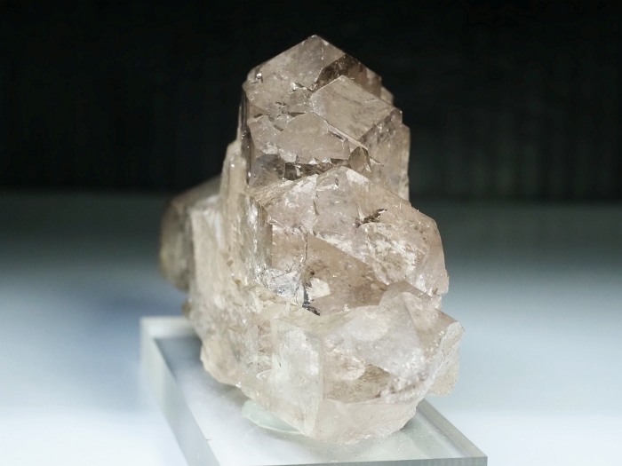 �O�C���f���N�H�[�c �X�C�X�E�A���v�X���� 319g (20-2)