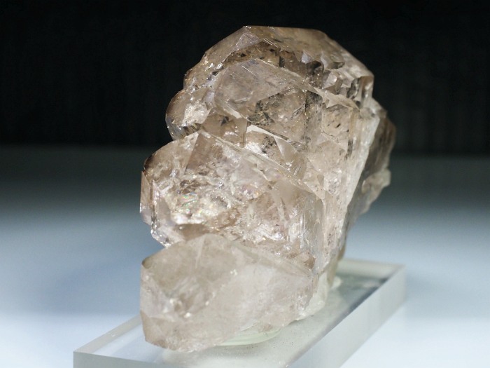 �O�C���f���N�H�[�c �X�C�X�E�A���v�X���� 319g (20-2)