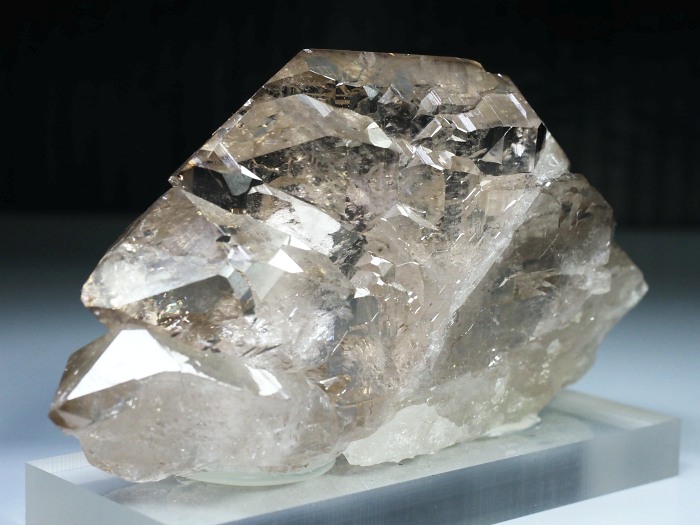 �O�C���f���N�H�[�c �X�C�X�E�A���v�X���� 319g (20-2)