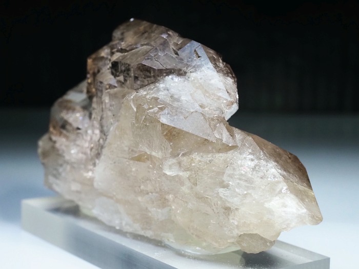 �O�C���f���N�H�[�c �X�C�X�E�A���v�X���� 319g (20-2)