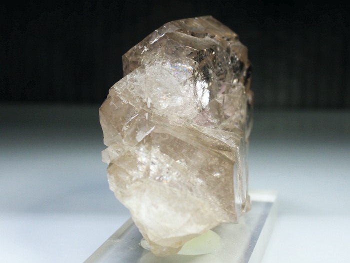 �O�C���f���N�H�[�c �X�C�X�E�A���v�X���� 319g (20-2)