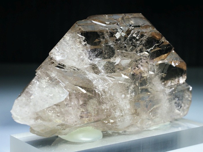 �O�C���f���N�H�[�c �X�C�X�E�A���v�X���� 319g (20-2)