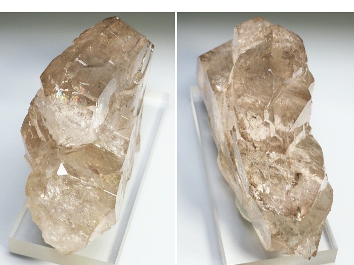 �O�C���f���N�H�[�c �X�C�X�E�A���v�X���� 319g (20-2)