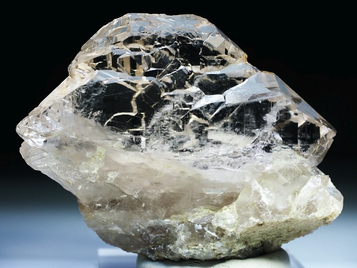 �O�C���f���N�H�[�c �X�C�X�E�A���v�X���� 213g (21-1)