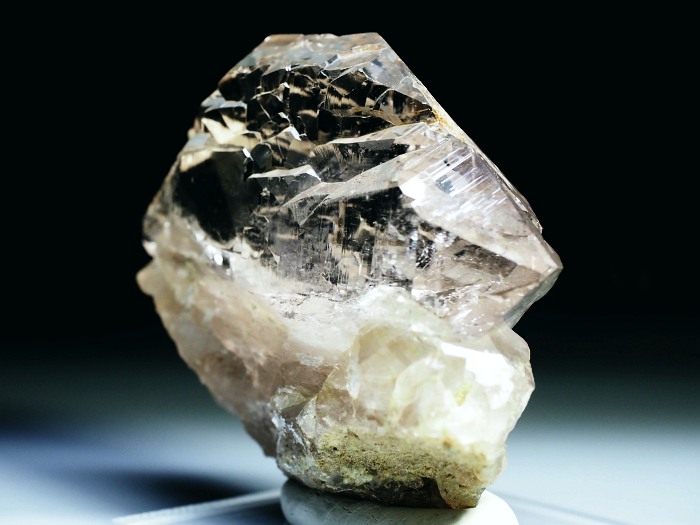 �O�C���f���N�H�[�c �X�C�X�E�A���v�X���� 213g (21-1)