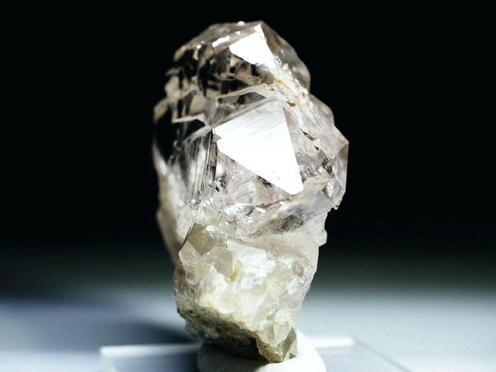 �O�C���f���N�H�[�c �X�C�X�E�A���v�X���� 213g (21-1)