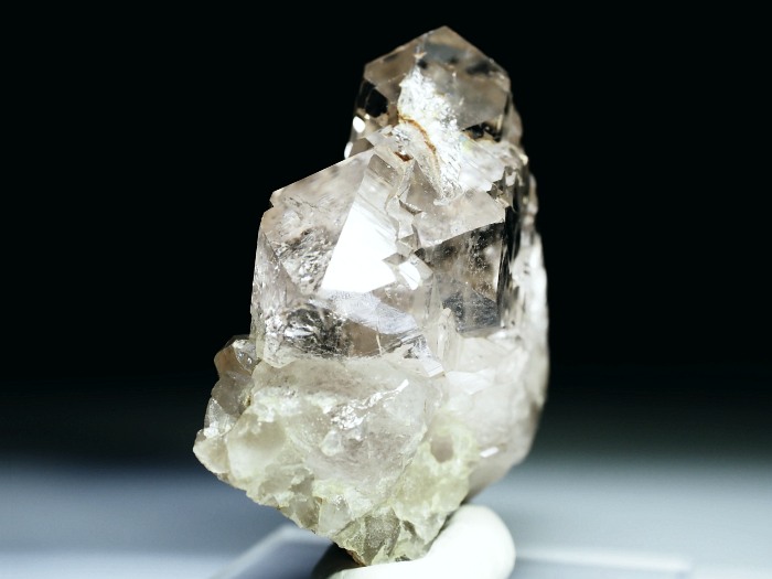 �O�C���f���N�H�[�c �X�C�X�E�A���v�X���� 213g (21-1)