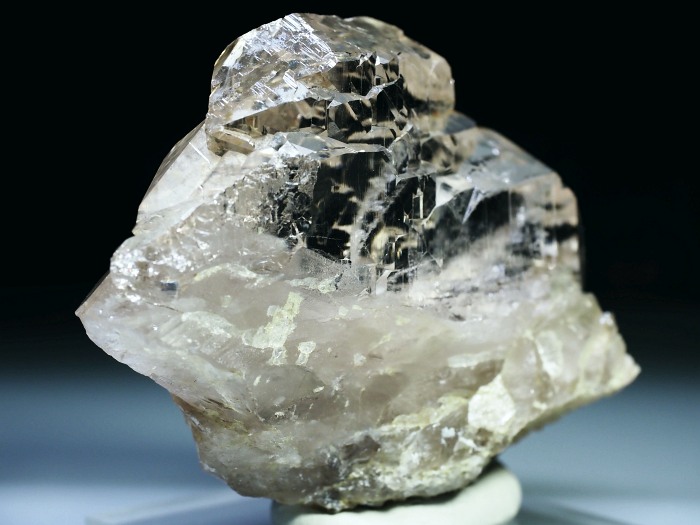 �O�C���f���N�H�[�c �X�C�X�E�A���v�X���� 213g (21-1)