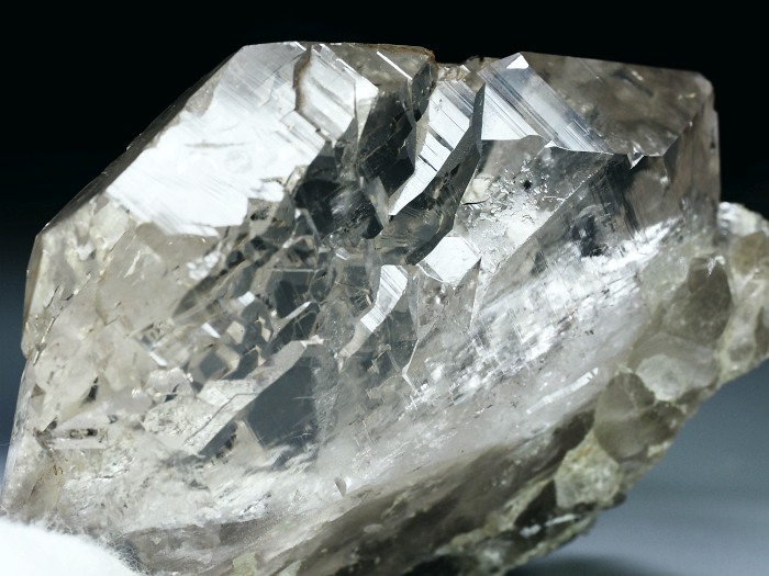 �O�C���f���N�H�[�c �X�C�X�E�A���v�X���� 213g (21-1)