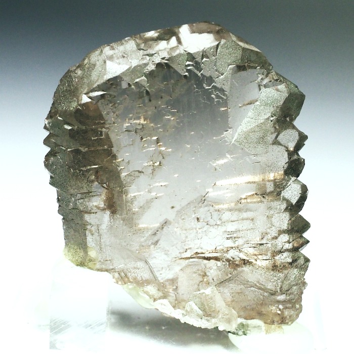 �O�C���f���N�H�[�c�X�C�X�E�A���v�X���� 63g (24-3)