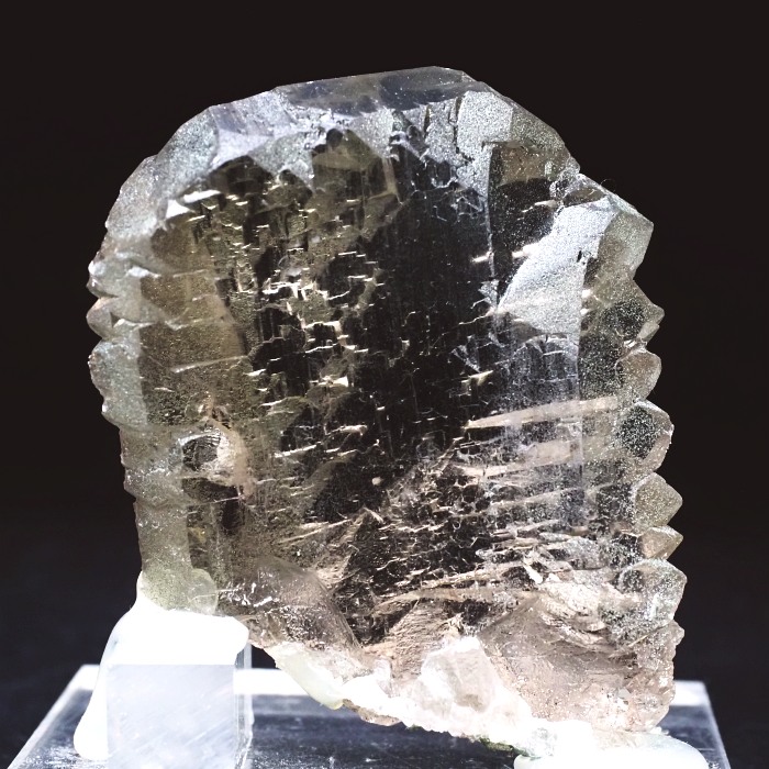 �O�C���f���N�H�[�c�X�C�X�E�A���v�X���� 63g (24-3)