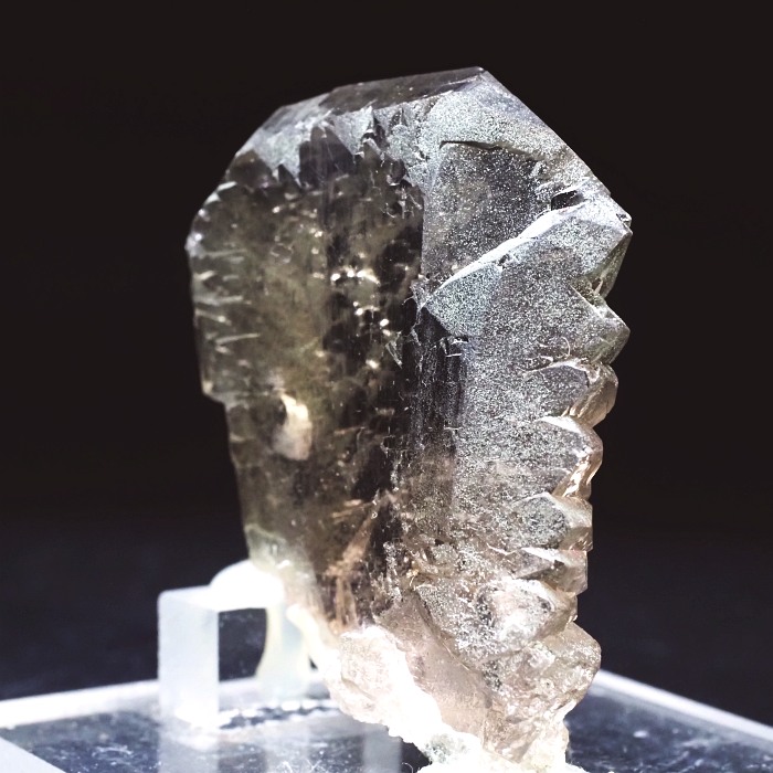 �O�C���f���N�H�[�c�X�C�X�E�A���v�X���� 63g (24-3)