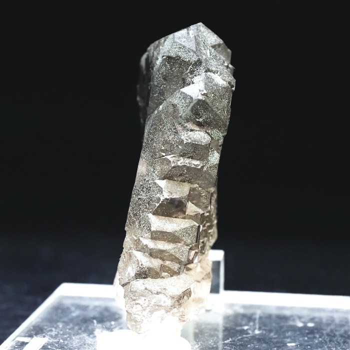 �O�C���f���N�H�[�c�X�C�X�E�A���v�X���� 63g (24-3)