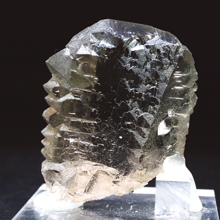 �O�C���f���N�H�[�c�X�C�X�E�A���v�X���� 63g (24-3)