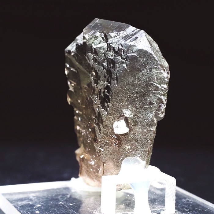 �O�C���f���N�H�[�c�X�C�X�E�A���v�X���� 63g (24-3)