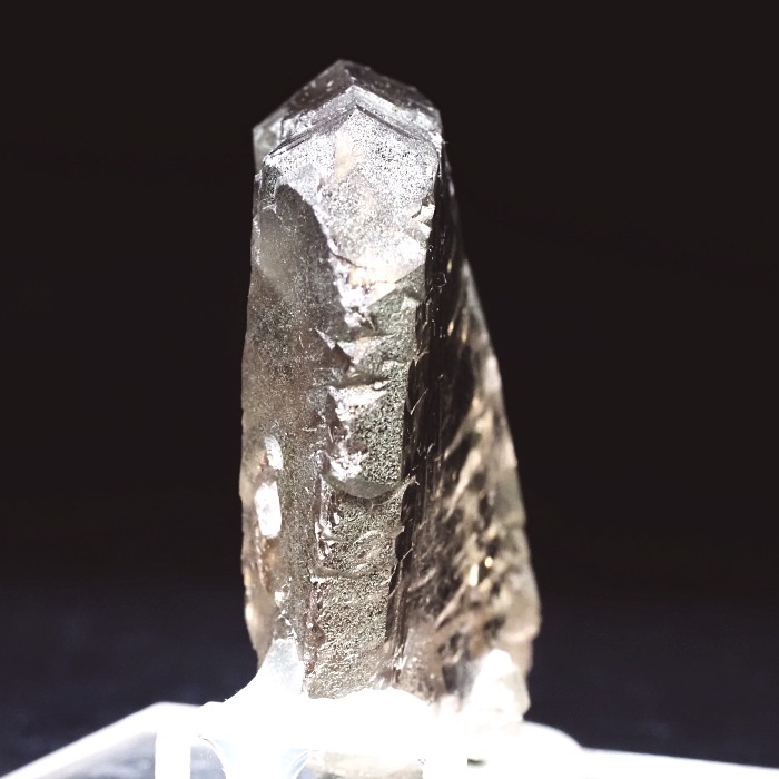 �O�C���f���N�H�[�c�X�C�X�E�A���v�X���� 63g (24-3)