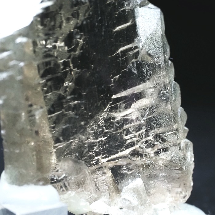 �O�C���f���N�H�[�c�X�C�X�E�A���v�X���� 63g (24-3)