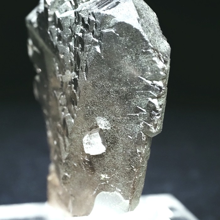 �O�C���f���N�H�[�c�X�C�X�E�A���v�X���� 63g (24-3)