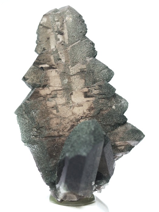 �O�C���f���N�H�[�c �X�C�X�E�A���v�X���� 73g (28g8-1)