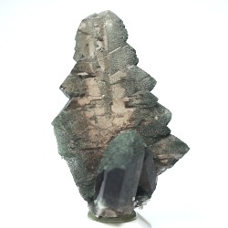 グインデルクォーツ<br> スイス・アルプス水晶<br> 73g (28g8-1)