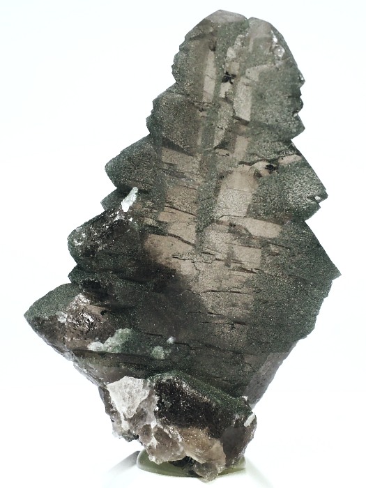 �O�C���f���N�H�[�c �X�C�X�E�A���v�X���� 73g (28g8-1)