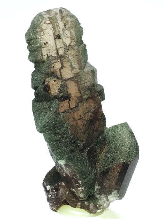 �O�C���f���N�H�[�c �X�C�X�E�A���v�X���� 73g (28g8-1)