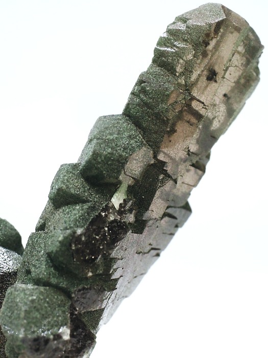 �O�C���f���N�H�[�c �X�C�X�E�A���v�X���� 73g (28g8-1)