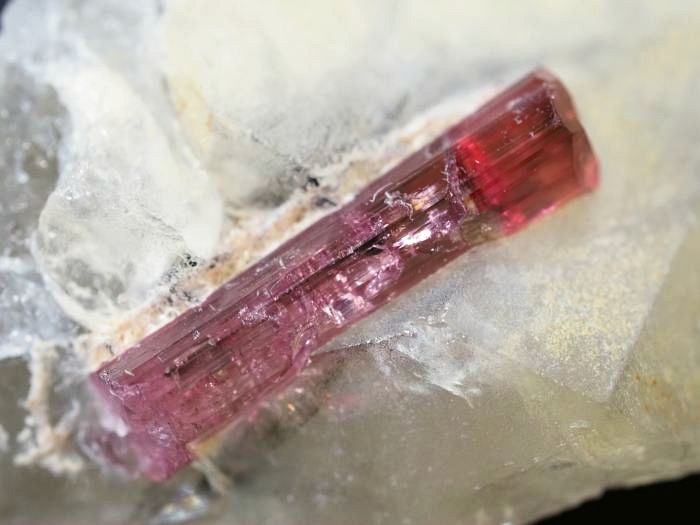 �s���N�g���}���� ���V�A/�`�^/�}���n���Y (720)