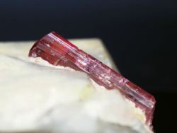 �s���N�g���}����<br> ���V�A/�`�^/�}���n���Y (720)