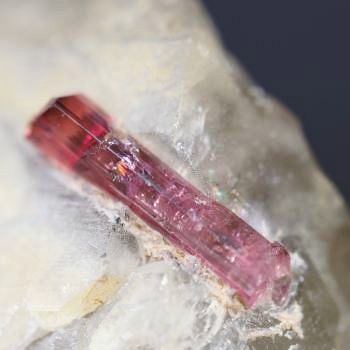 �s���N�g���}���� ���V�A/�`�^/�}���n���Y (720)