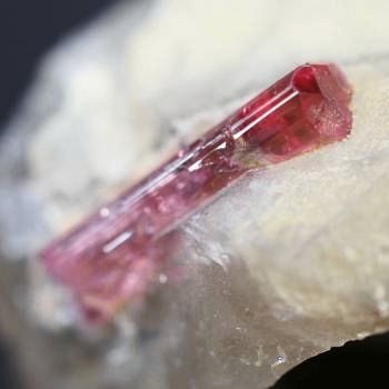 �s���N�g���}���� ���V�A/�`�^/�}���n���Y (720)