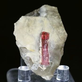 �s���N�g���}���� ���V�A/�`�^/�}���n���Y (720)