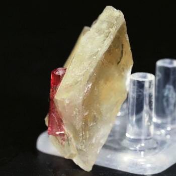 �s���N�g���}���� ���V�A/�`�^/�}���n���Y (720)