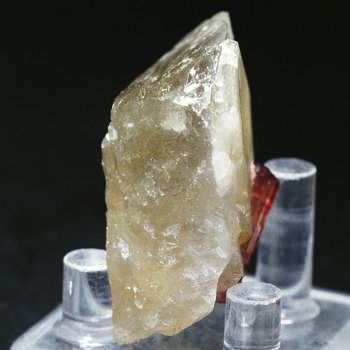 �s���N�g���}���� ���V�A/�`�^/�}���n���Y (720)