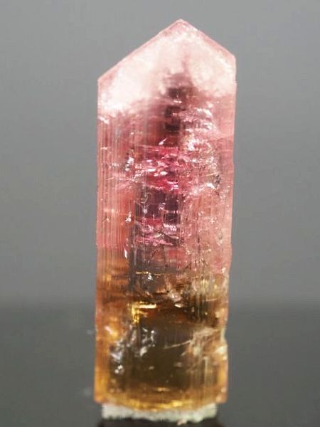 �s���N�g���}�����E�o�C�J���[ ���V�A/�`�^/�}���n���Y (721)