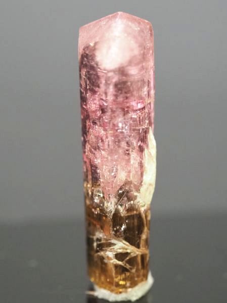 �s���N�g���}�����E�o�C�J���[ ���V�A/�`�^/�}���n���Y (721)