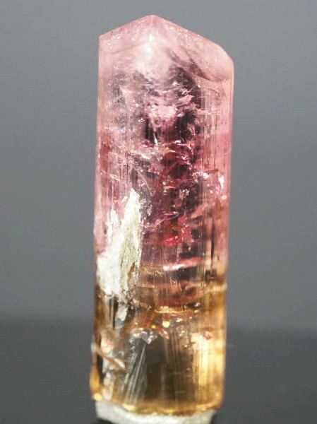 �s���N�g���}�����E�o�C�J���[ ���V�A/�`�^/�}���n���Y (721)