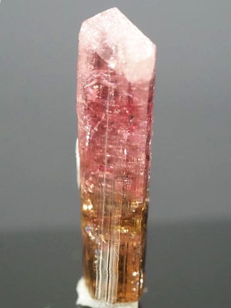 �s���N�g���}�����E�o�C�J���[ ���V�A/�`�^/�}���n���Y (721)