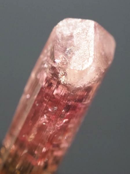 �s���N�g���}�����E�o�C�J���[ ���V�A/�`�^/�}���n���Y (721)