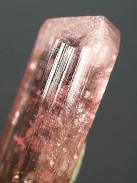 �s���N�g���}�����E�o�C�J���[ ���V�A/�`�^/�}���n���Y (721)