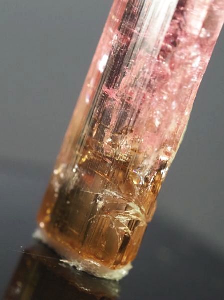 �s���N�g���}�����E�o�C�J���[ ���V�A/�`�^/�}���n���Y (721)