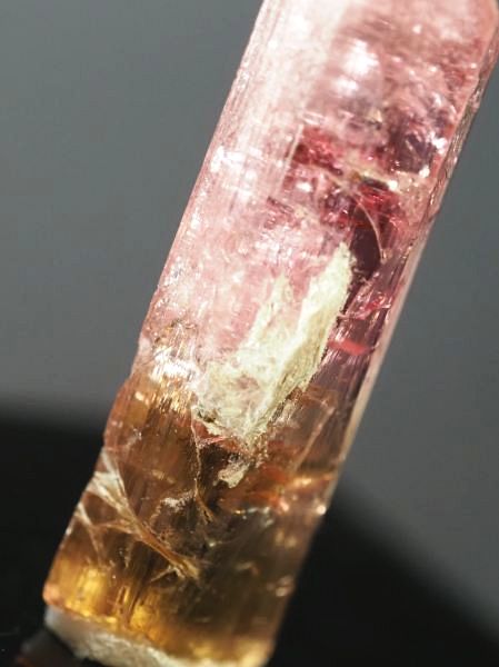 �s���N�g���}�����E�o�C�J���[ ���V�A/�`�^/�}���n���Y (721)